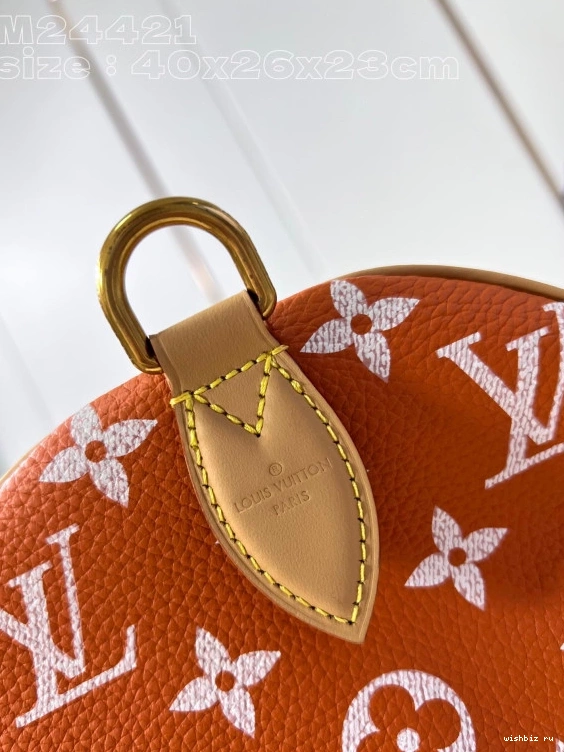 WIS SPEEDY Louis Vuitton 40 0307